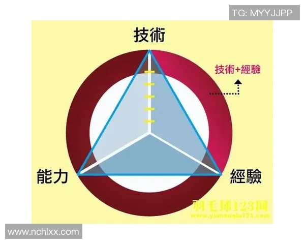 广州羽毛球队挑战赛战术分析与表现评估探讨